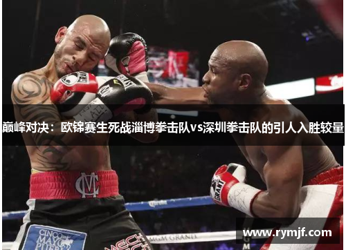 巅峰对决：欧锦赛生死战淄博拳击队vs深圳拳击队的引人入胜较量
